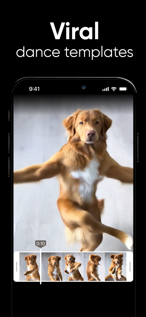 Dance AI: AI Dance Video Maker - Un golden retriever che esegue una mossa di ballo virale nell'interfaccia dell'app mobile Dance AI.