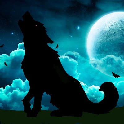 animals_36