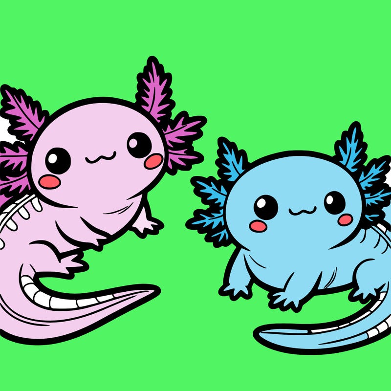 cute axolotls