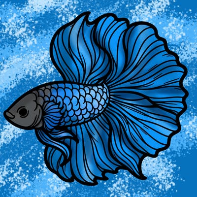 betta fish