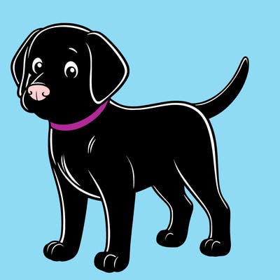 black lab