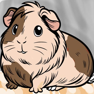guinea pig