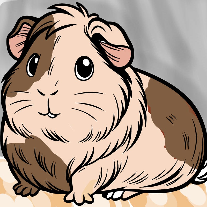 guinea pig