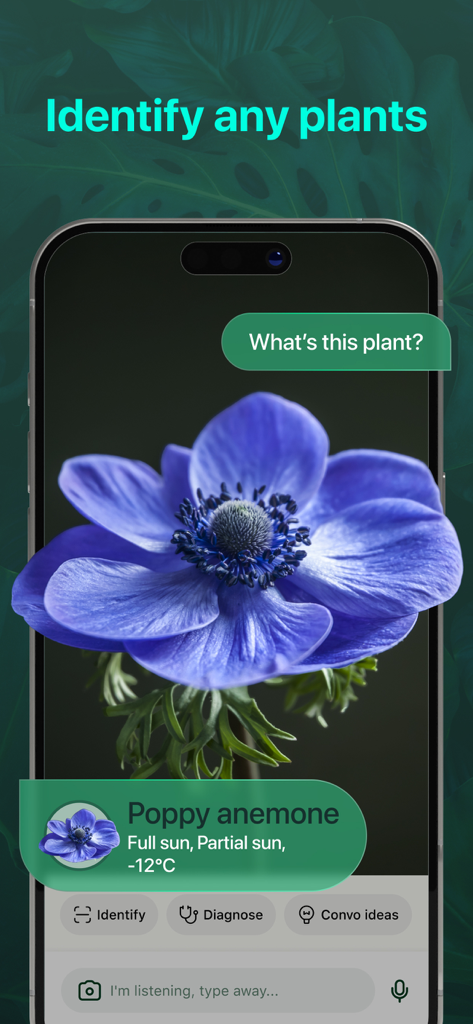Interface de l'application mobile PlantAI identifiant une anémone pavot bleu avec des détails sur les soins des plantes