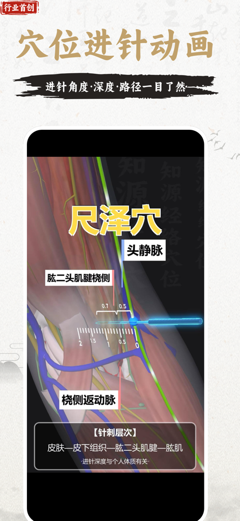 知源经络穴位-中医经络穴位针灸艾灸按摩养生舌诊中草药识别大全 - A 3D animation showing the precise angle and depth of an acupuncture needle insertion with anatomical labels for muscles and veins.