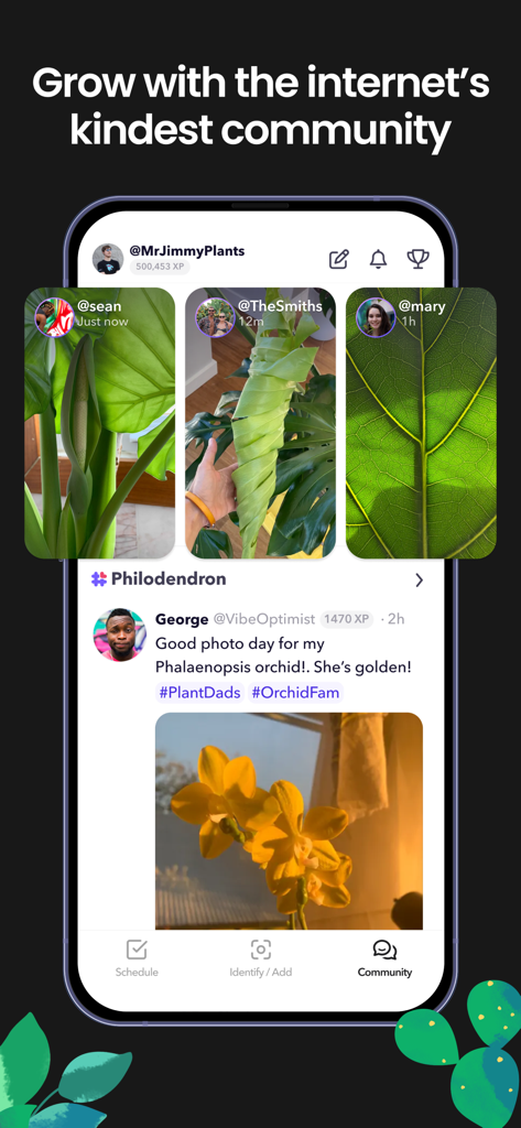 Greg: Plant Identifier & Care - Greg植物ケアアプリのソーシャルフィード。コミュニティのユーザーが共有した写真を表示。