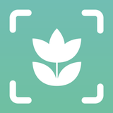 Plant ID Match: Identification