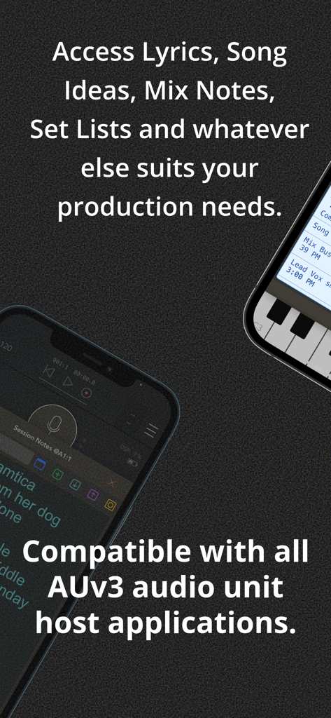 Session Notes AU - Interfaz que muestra la compatibilidad de Session Notes AU con aplicaciones host de unidades de audio para gestionar letras y notas de mezcla.