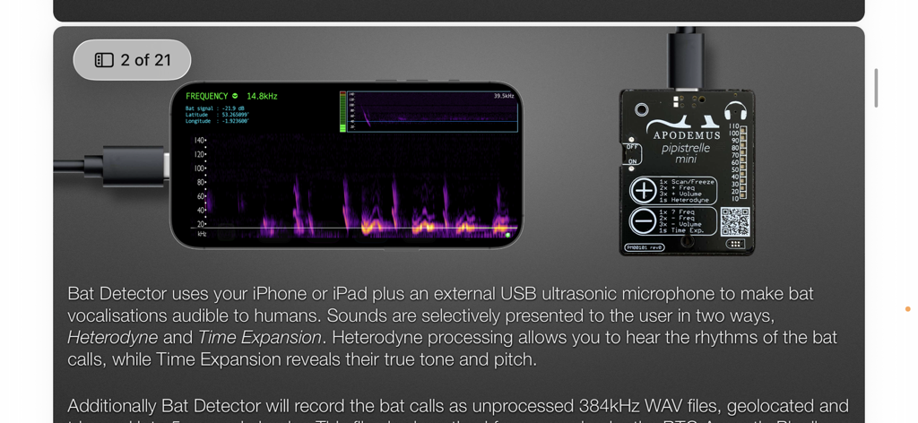 Bat Detector - A smartphone running the Bat Detector app displaying a spectrogram next to an external Apodemus Pipistrelle Mini ultrasonic microphone.