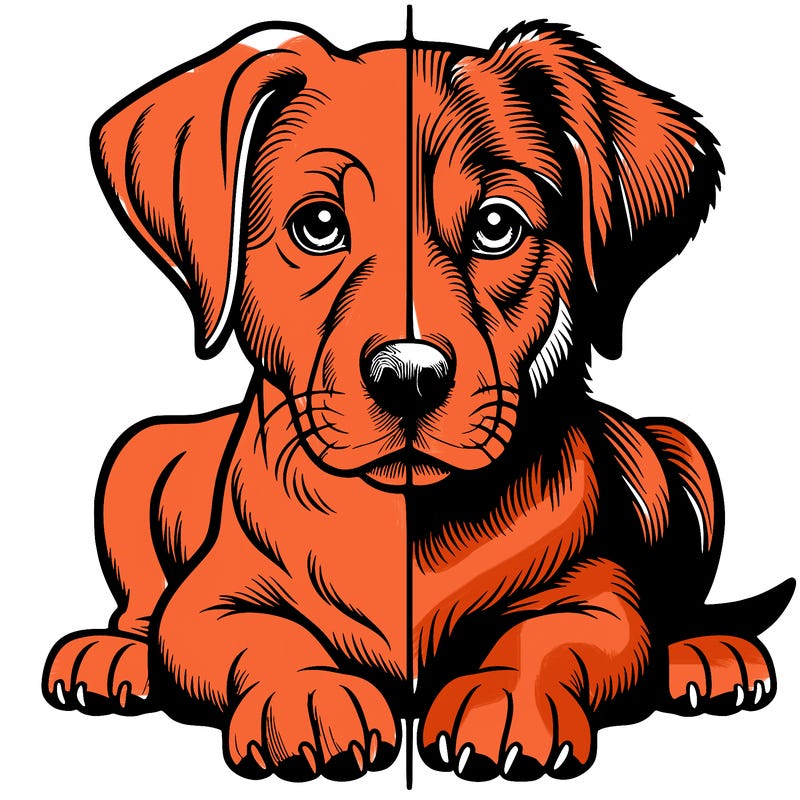 realistic dog split picture