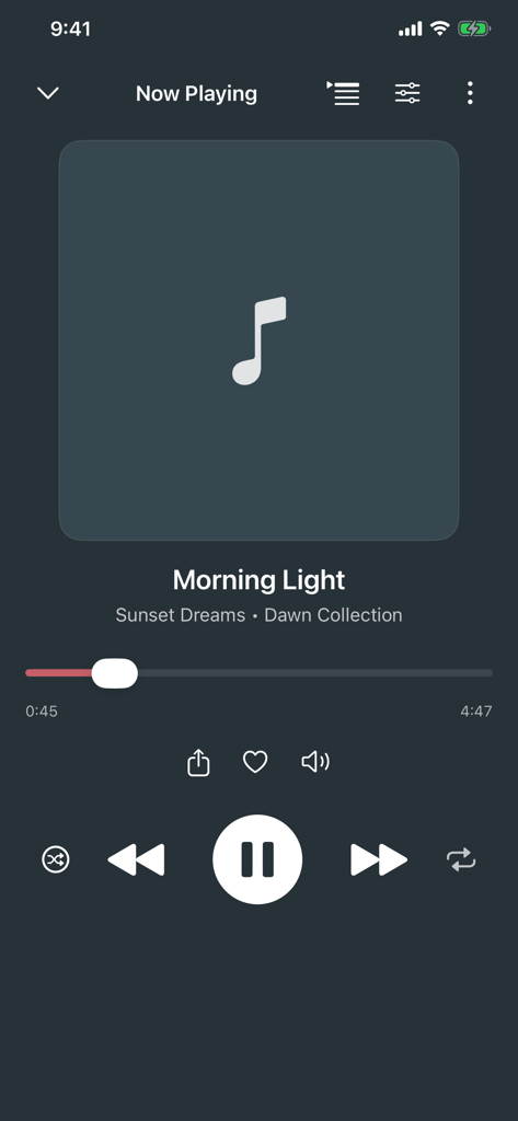 Pi Music Player - Now playing interface of Pi Music Player showing audio controls for the song Morning Light