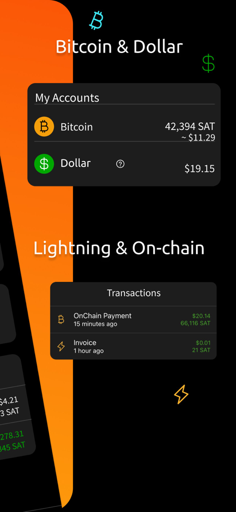 Blink (Bitcoin Wallet) - Blink Bitcoin Wallet dashboard showing Bitcoin and Dollar account balances and recent Lightning and on-chain transactions
