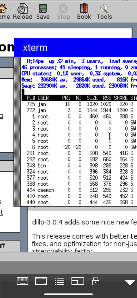 Mocha X11 - システム プロセス情報を表示するリモート Linux xterm ウィンドウを表示する Mocha X11 アプリ