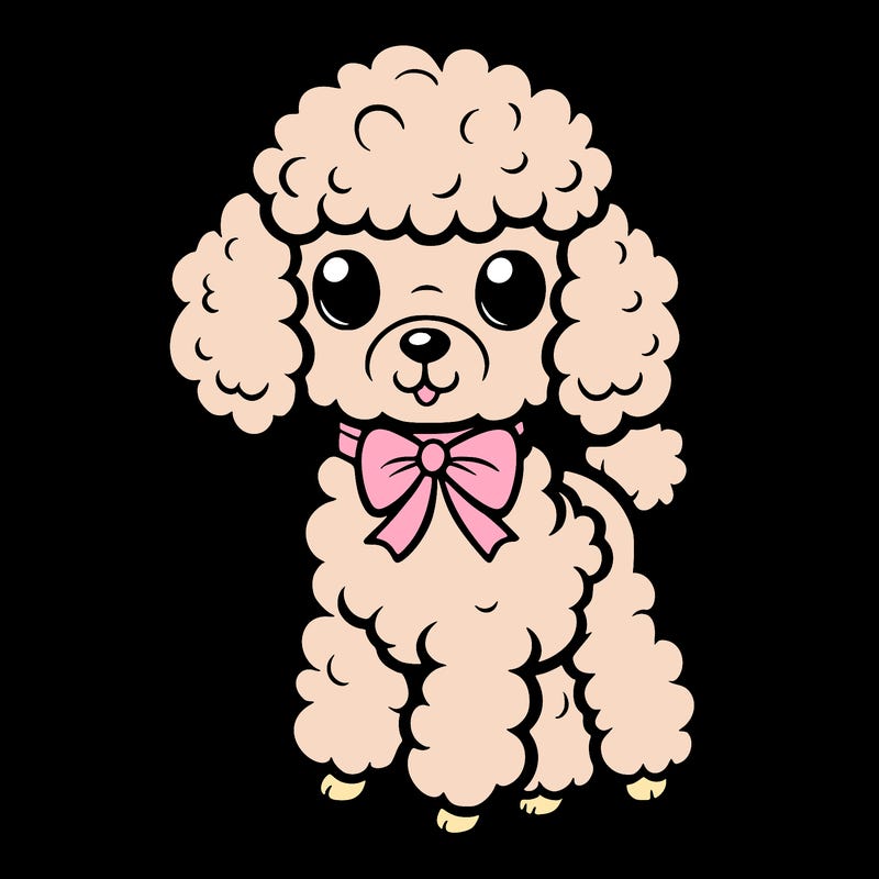 toy poodle boy