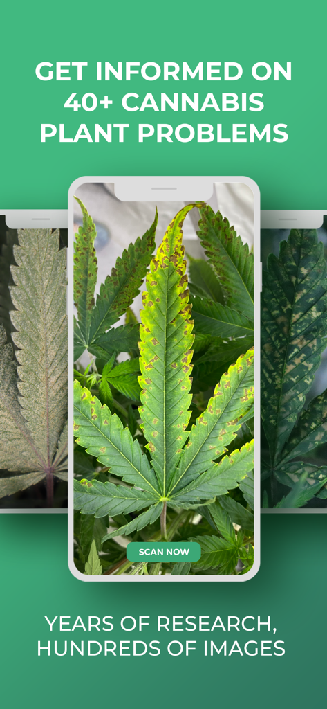 GrowDoc - Smartphone showing GrowDoc app scanning a cannabis leaf with brown spots for problem diagnosis