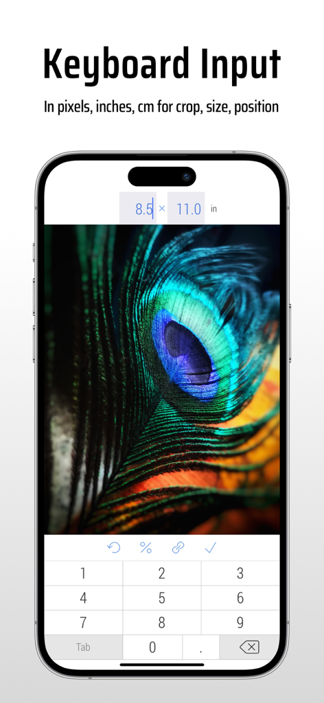 CropSize app interface showing keyboard input for precise image resizing by dimensions