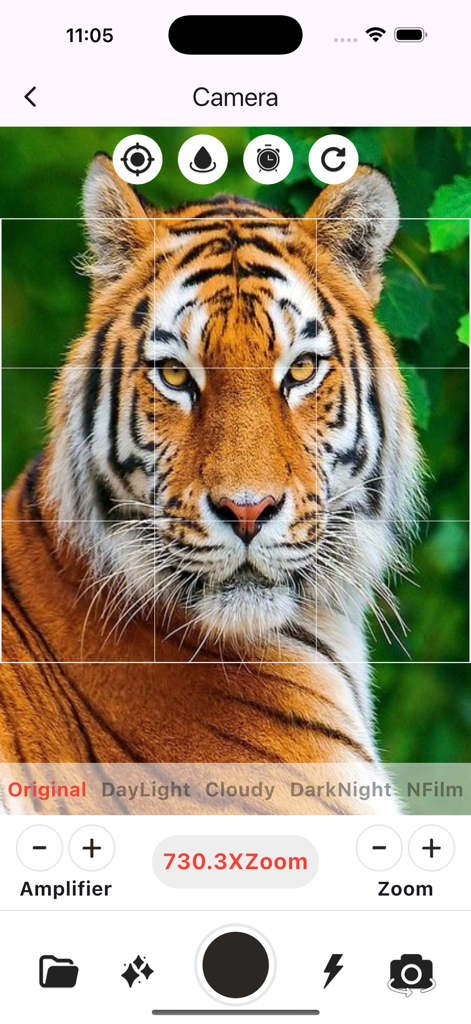 Ultra Zoom Camera 1000x - Ultra Zoom Kamera App-Oberfläche mit hoher Vergrößerung auf einem Tiger mit Fotografie-Steuerelementen