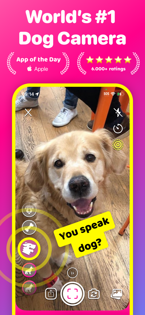 Dog & Pet Translator: DogCam - DogCam App Kamera-Oberfläche, die einen Golden Retriever zeigt, der mit Soundeffekt-Icons für Haustierfotografie in die Linse schaut
