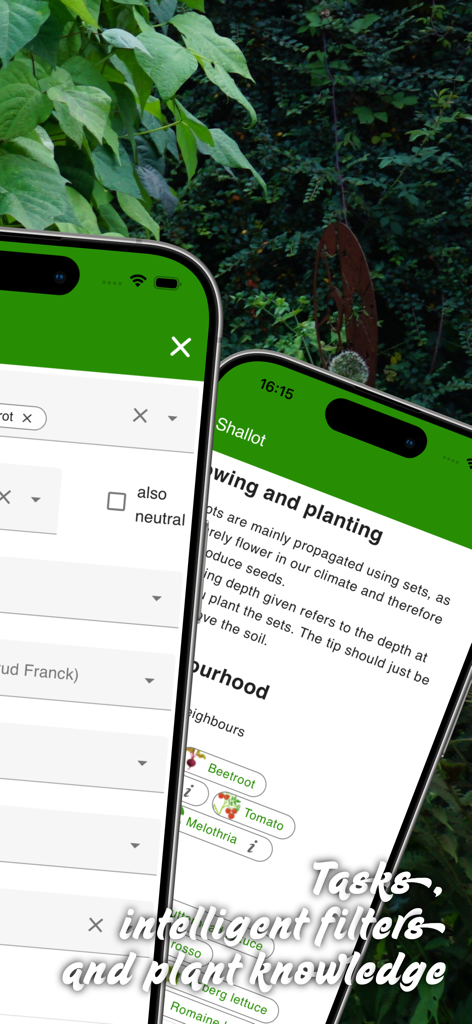 grove: Companion Plant Planner - Screenshot of the grove app showing plant sowing information and companion planting suggestions for shallots.