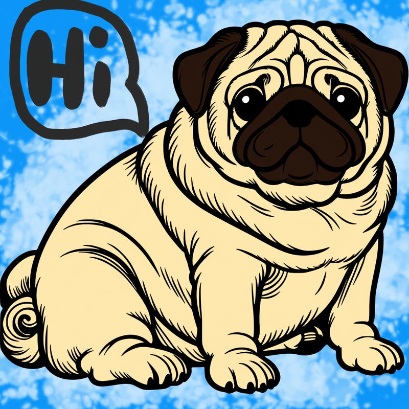 pug