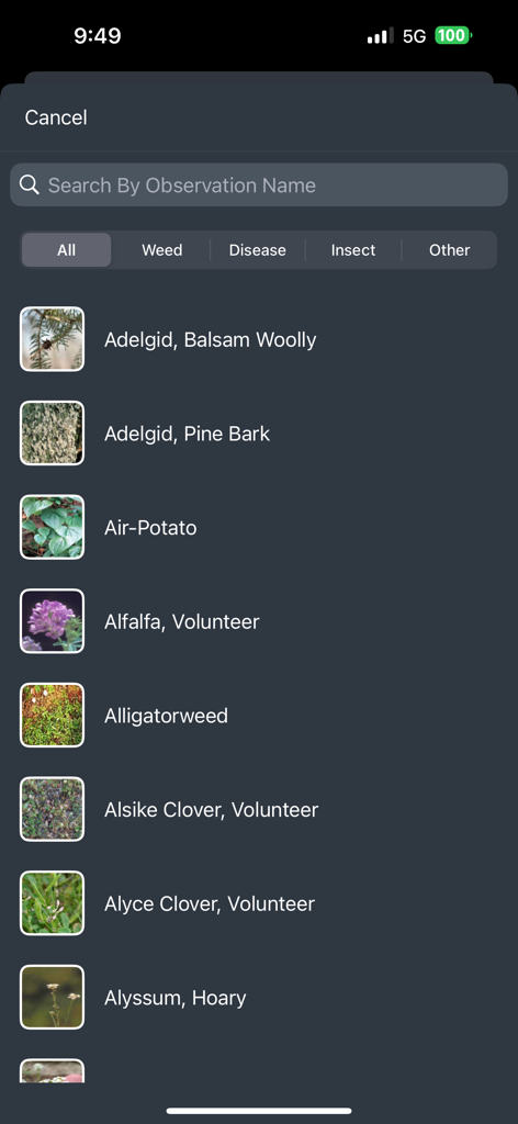 AI360 모바일 앱 인터페이스는 잡초 및 곤충과 같은 농업 관찰 목록을 보여줍니다.