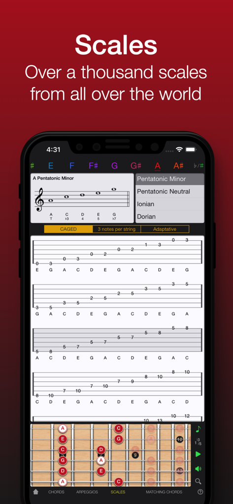 Guitar scale library showing pentatonic minor notation and fretboard diagrams