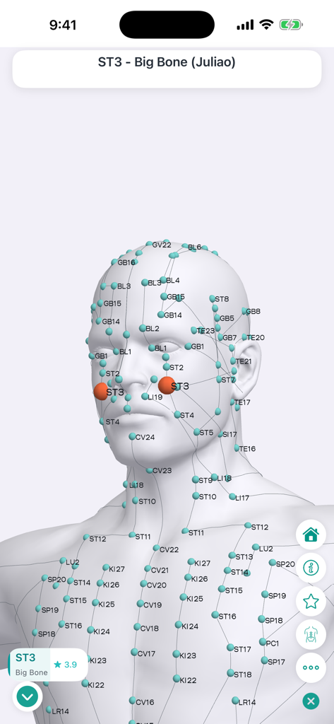 Massage Map 3D - 3D anatomical model of a human head showing acupressure points with ST3 highlighted