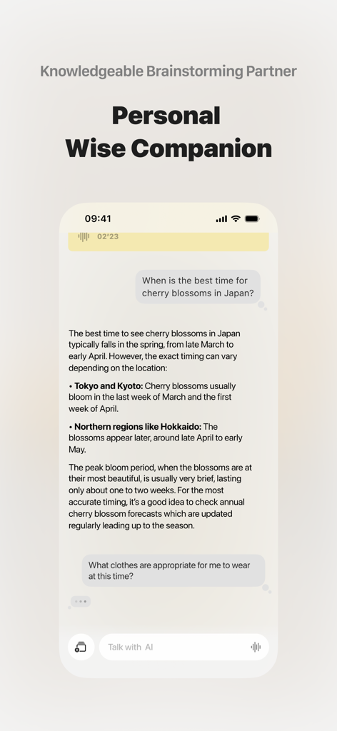 A chat interface in the ideaShell app where the AI acts as a personal brainstorming companion for planning and research.