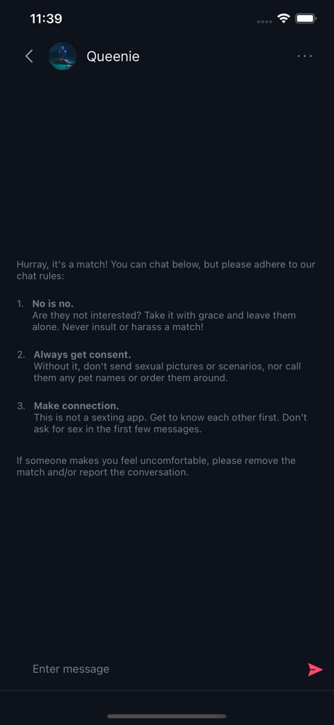 A screenshot of the BeeDee app chat interface displaying community guidelines and safety rules for a new match.