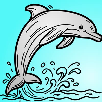 dolphin