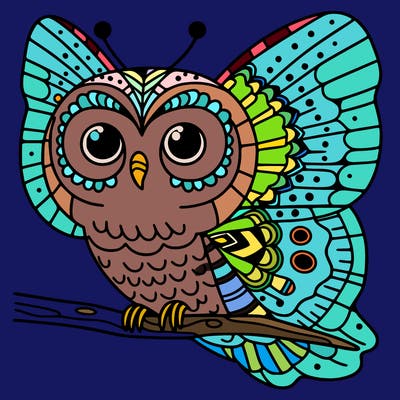 owl butterfly