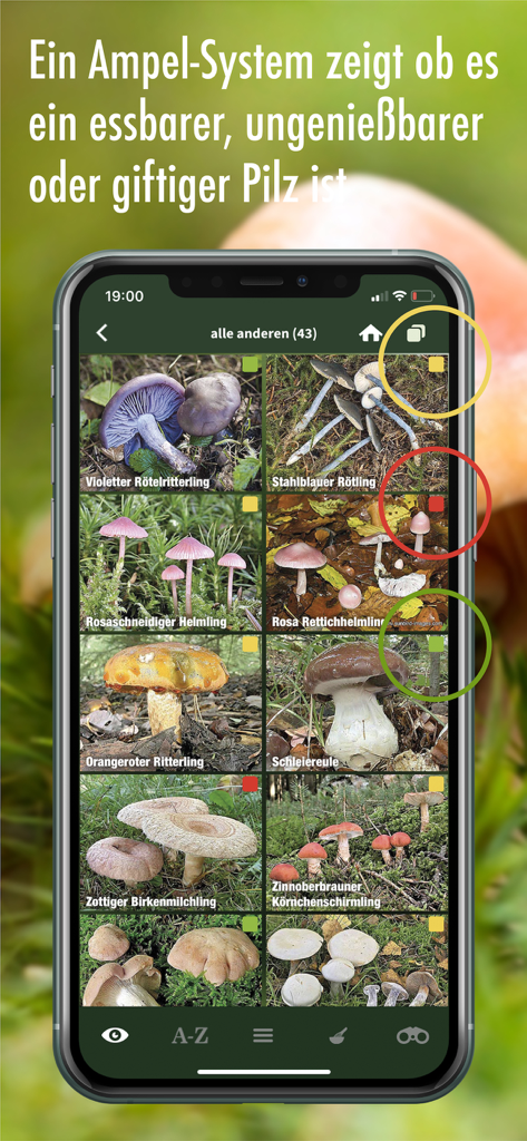 Grille d'identification des champignons dans l'application Pilzfuehrer Schweiz avec un système de feux tricolores pour plus de sécurité