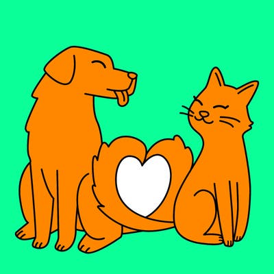 animals_22