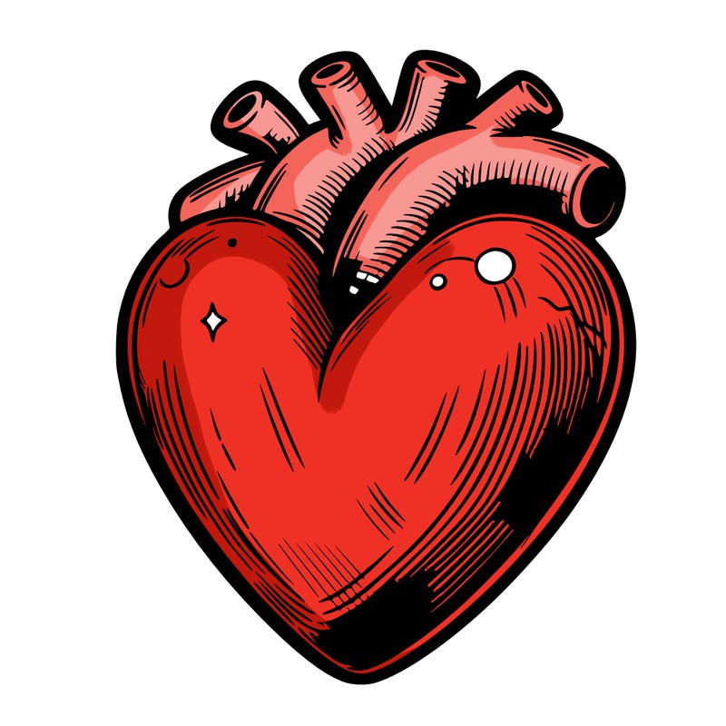 realistic heart