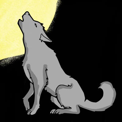 animals_36