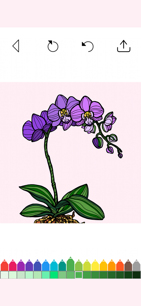 A purple orchid floral design being colored in the Flowers adult coloring book app interface