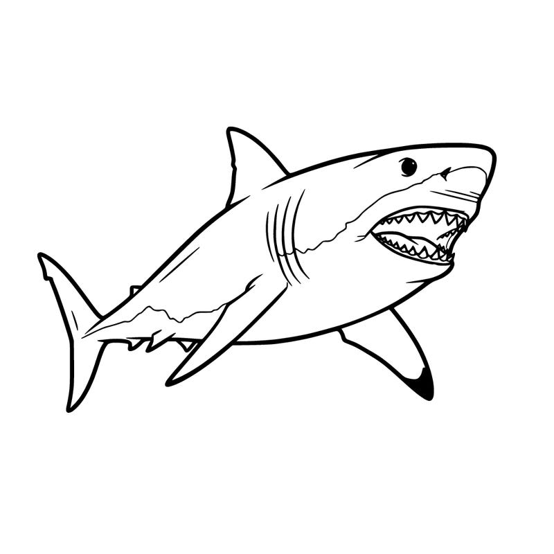 realistic great white shark