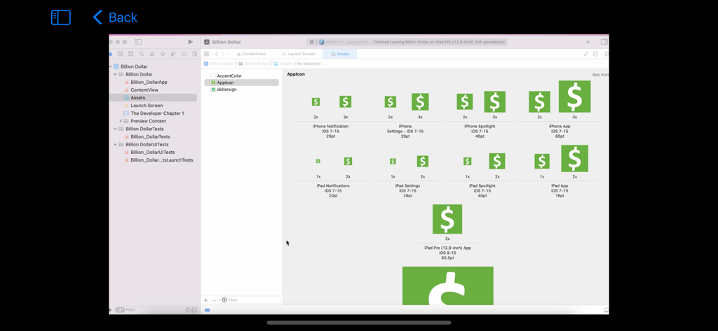 The Developer - Xcode interface showing various sizes of a green dollar sign app icon within the asset catalog