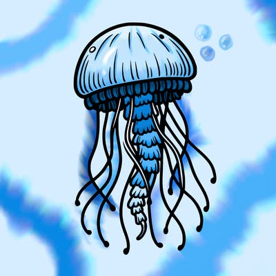 jellyfish