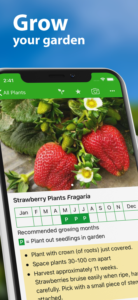 Gardenate - Gardenate app screenshot displaying strawberry growing tips and a monthly planting calendar.