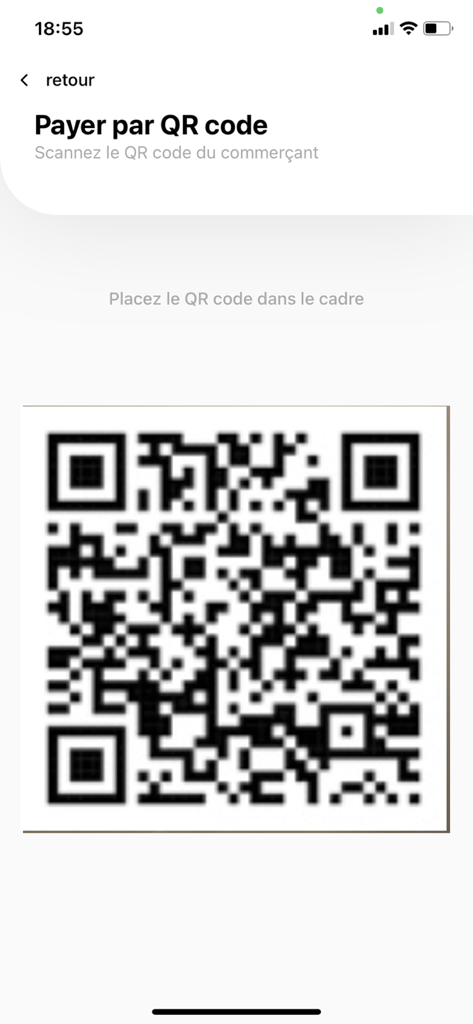 Tela do aplicativo de mobile banking HOLO para pagamentos de comerciantes via escaneamento de código QR.