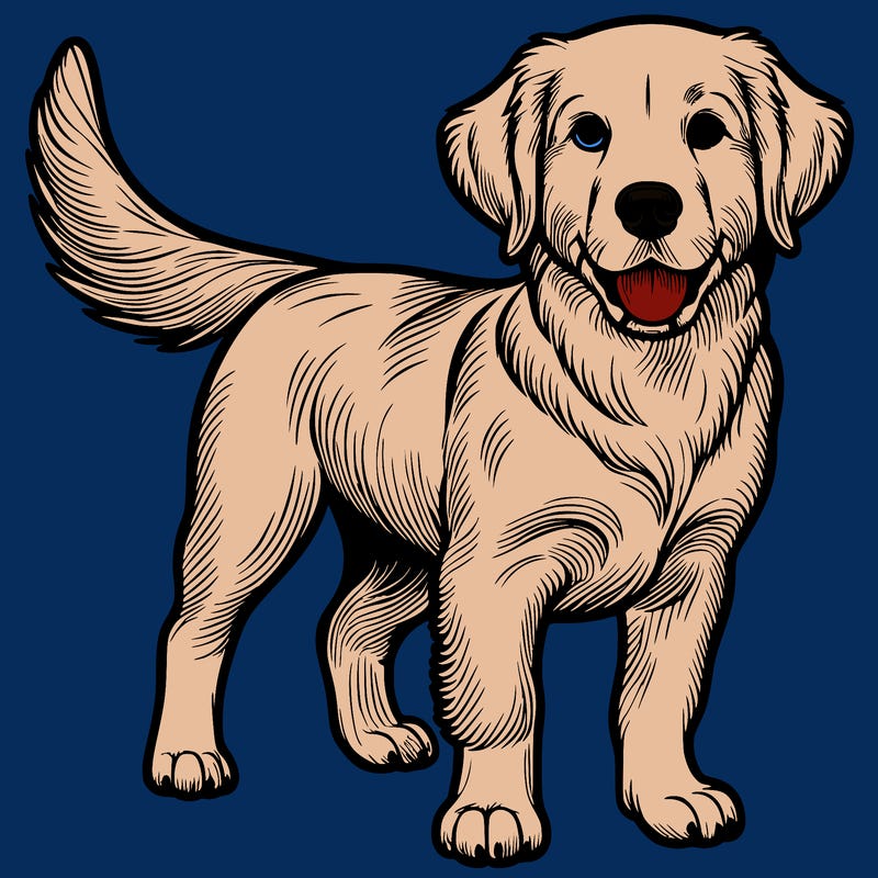 𝓡𝓮𝓪𝓵𝓲𝓼𝓽𝓲𝓬 𝓭𝓸𝓰