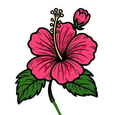 hibiscus flower