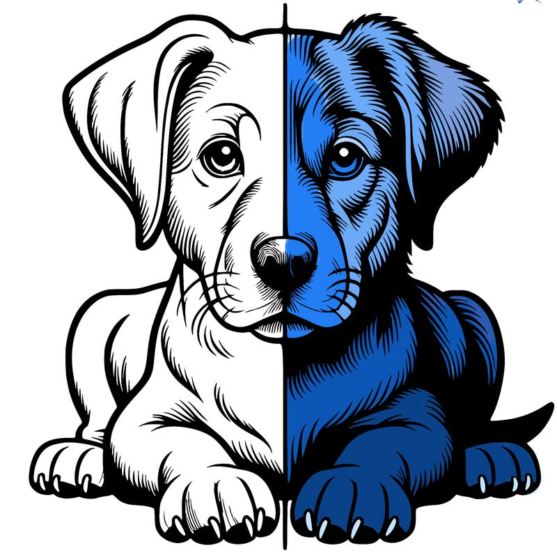 realistic dog split picture