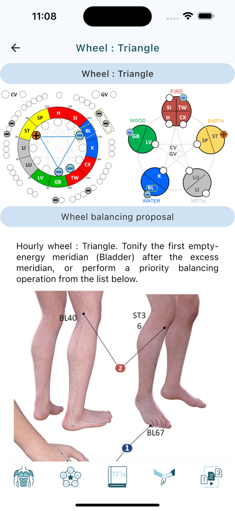 Touch For Health app interface showing energy wheel diagrams and meridian points on the legs for balancing.