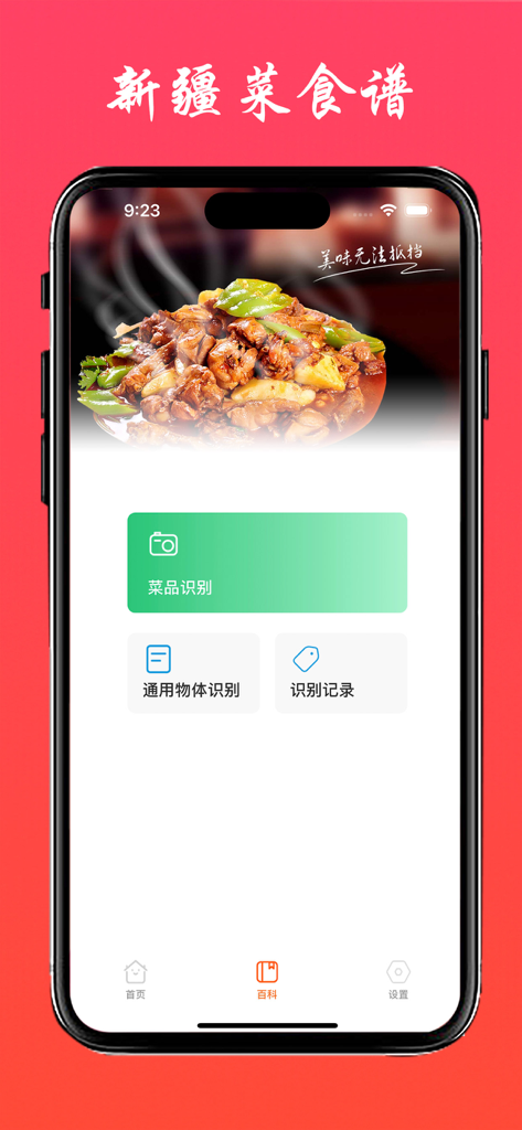 新疆菜食谱-中华美食系列之新疆菜做法大全 - Interfaz de la aplicación Recetas de Cocina de Xinjiang que muestra el reconocimiento de platos y Pollo en Plato Grande