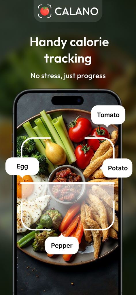 Smartphone screen showing CALANO app AI food recognition scanning a meal for calorie tracking