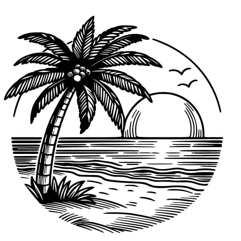 palm tree beach sunset