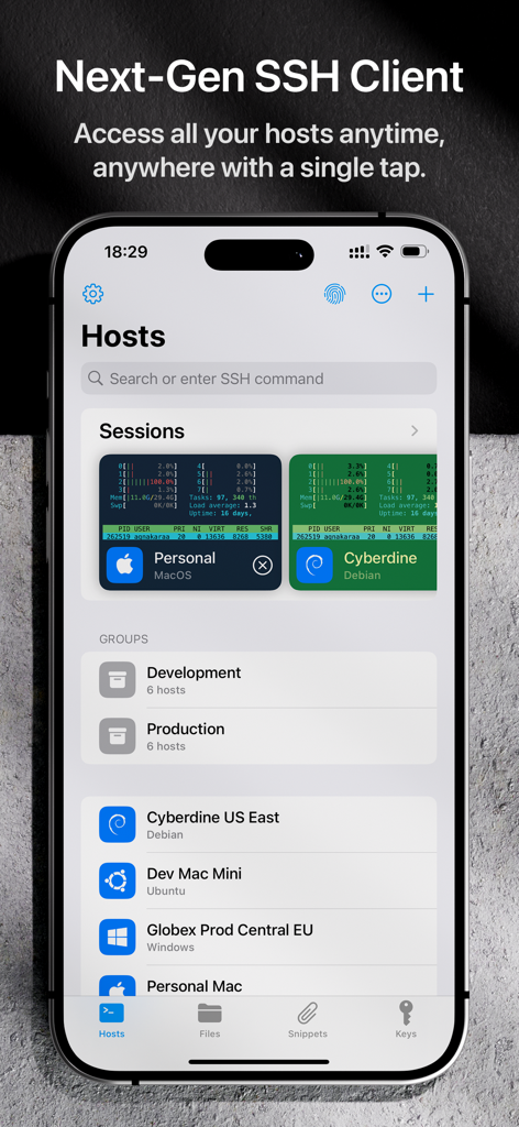 Termix: SSH Client & Terminal - Termix SSH client mobile app interface showing active server sessions and host groups