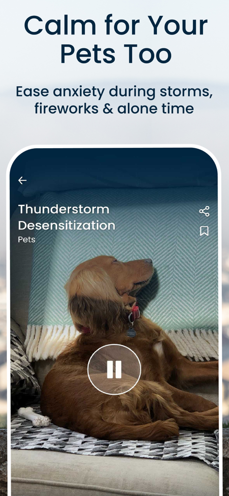 Begin: Meditation & Sleep - Begin app screen showing pet anxiety relief and thunderstorm desensitization for dogs.
